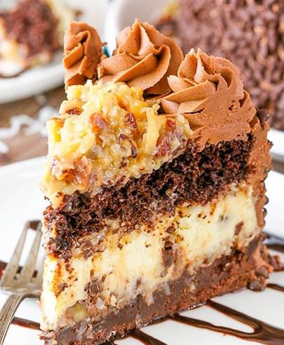 Layered Coconut Chocolate Cheesecake